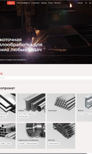 Разработка сайта для металлургической компании в Волгограде 8 Разработка сайта для металлургической компании в Липецке
