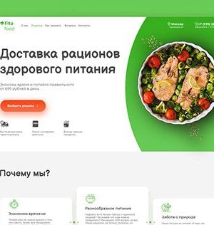 Разработка редизайна сайта кафе-бистро в Автозаводском районе Нижнего Новгорода 9 Разработка лендинга для доставки рационов здорового питания в Центральном районе Красноярска
