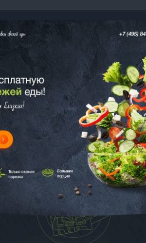 Разработка сайта для ресторана Ownfood в Омске (ул. Ленина) 4 Разработка концепта лендинга доставки еды в Приморском районе Санкт-Петербурга